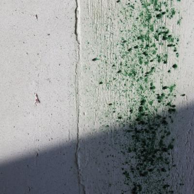 Isabelle Bonzom, Poudreux, Powdery, buon fresco